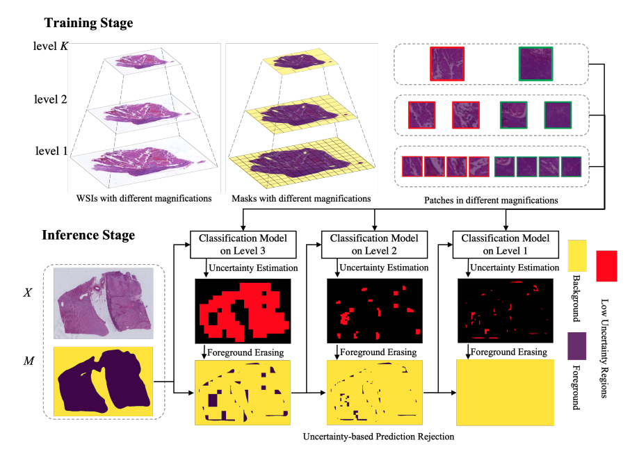 Uncertainty-based Model Acceleration for Cancer Classification in Whole-Slide Images