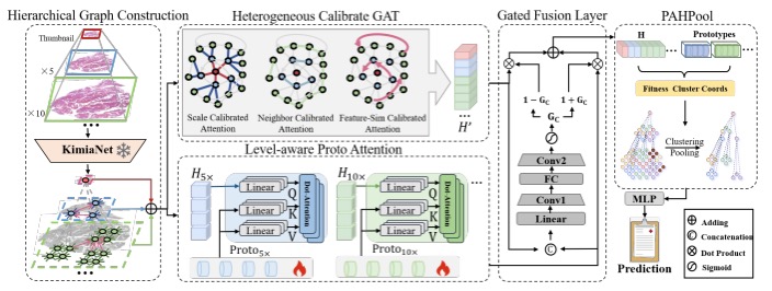 Learning Heterogeneous Embedding with Prototype-Aware Graph Attention for Whole Slide Image Classification