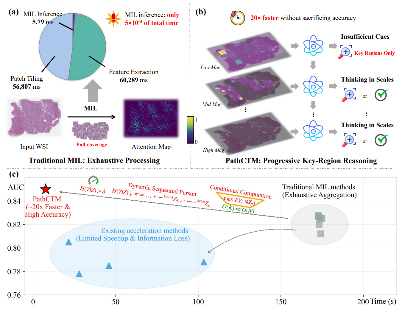 Thinking in Scales: Accelerating Gigapixel Pathology Image Analysis via Adaptive Continuous Reasoning