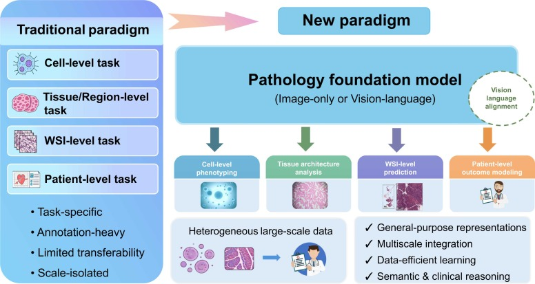 From cells to patients: Multiscale computational pathology in the era of foundation models and vision-language systems