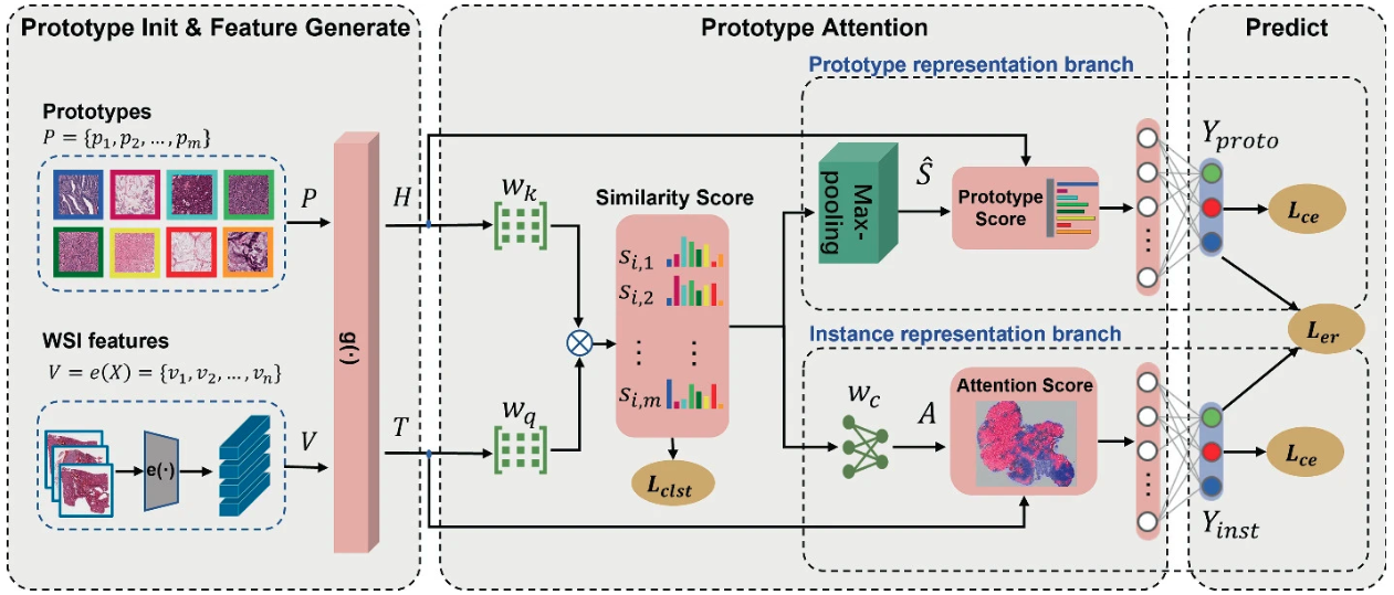 Pamil: Prototype attention-based multiple instance learning for whole slide image classification