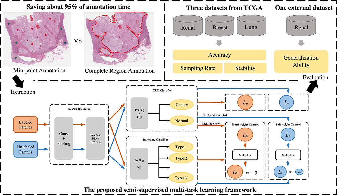 A semi-supervised multi-task learning framework for cancer classification with weak annotation in whole-slide images