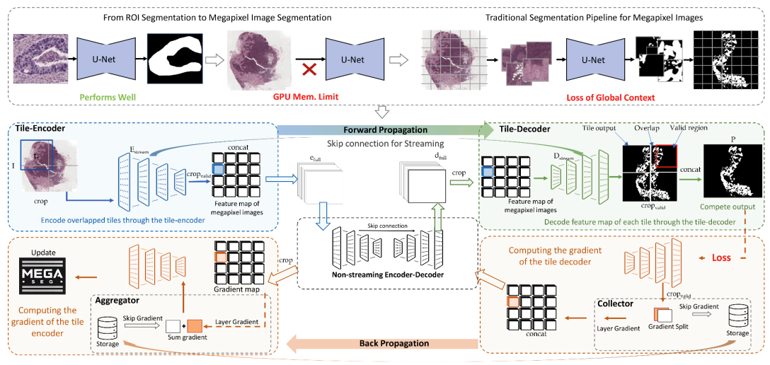 MegaSeg: Towards Scalable Semantic Segmentation for Megapixel Images