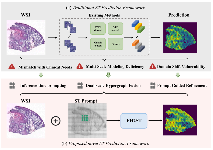 PH2ST: Prompt-Guided Hypergraph Learning for Spatial Transcriptomics Prediction in Whole Slide Images