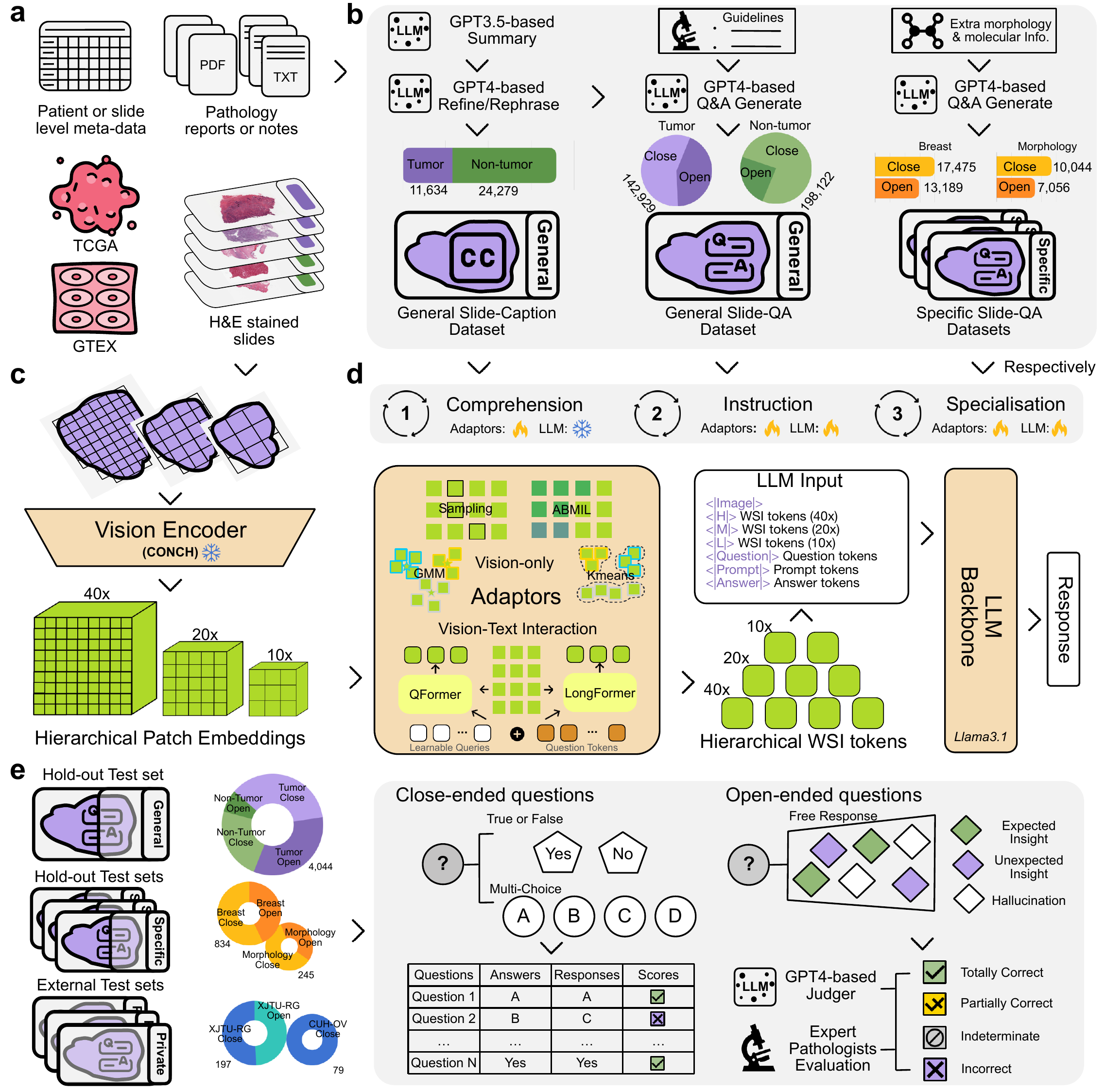 ALPaCA: Adapting Llama for Pathology Context Analysis to enable slide-level question answering