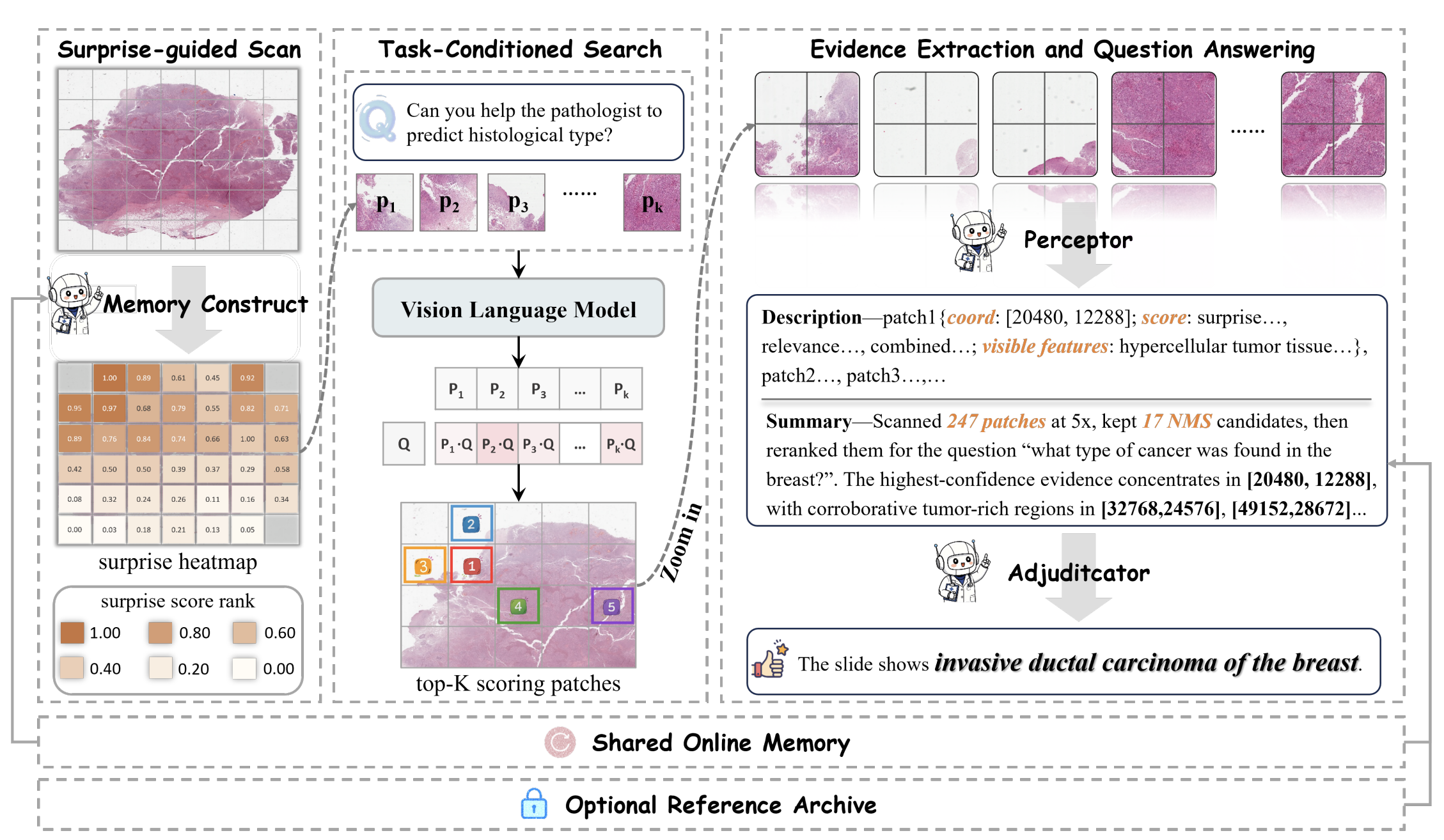 PathNavigate: A Training-Free Pathology Agent with Surprise-Guided Scan and Shared Slide Memory for Whole-Slide Image VQA