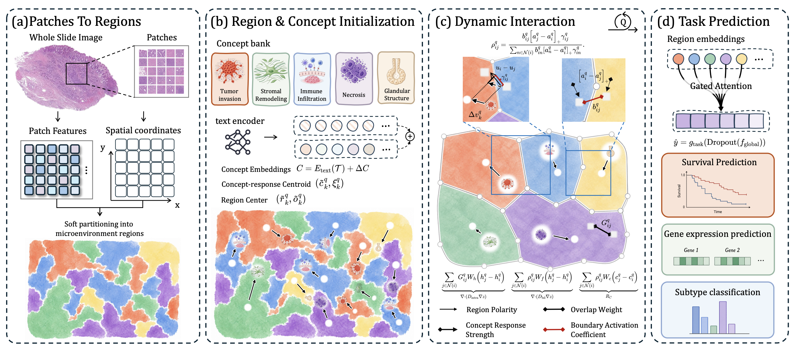 Modeling Whole-Slide Images as Dynamic Tumor Microenvironment Fields