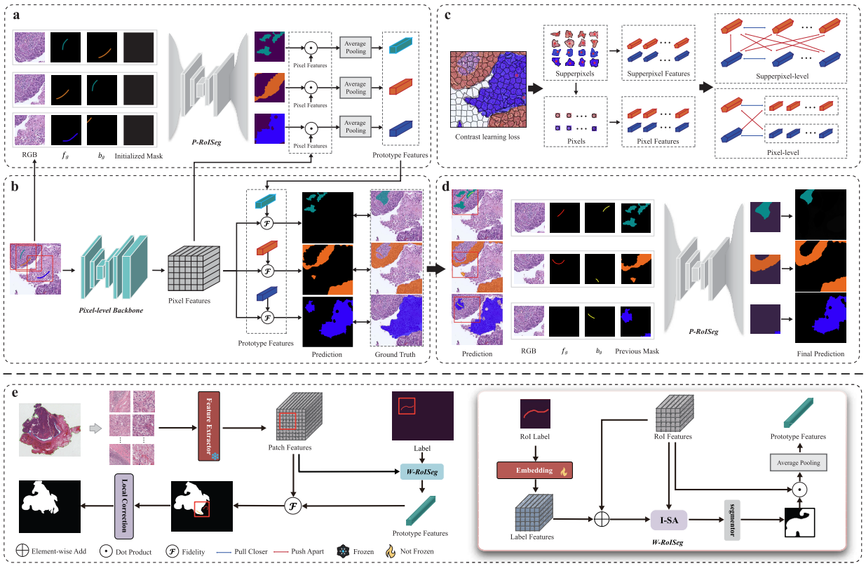 ProGIS: Prototype-Guided Interactive Segmentation for Pathological Images
