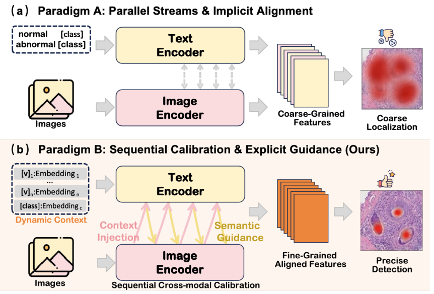 HAAF: Hierarchical Adaptation and Alignment of Foundation Models for Few-Shot Pathology Anomaly Detection